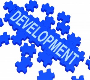 professional development advice